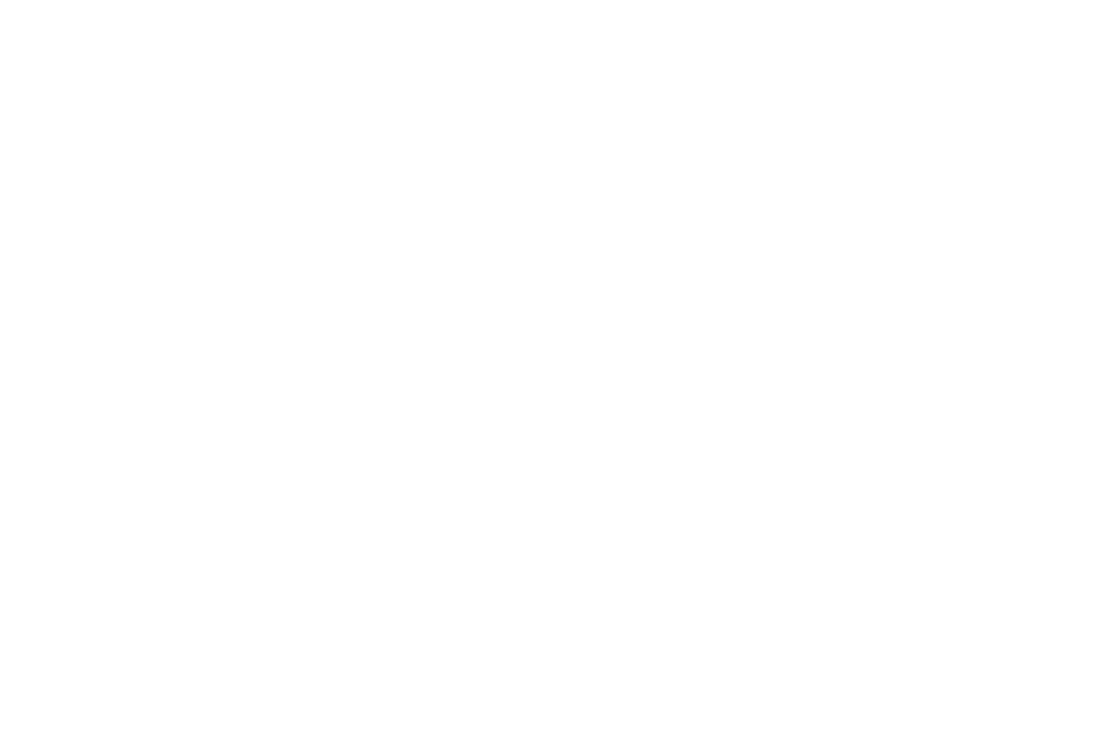 KINGFISH logo white